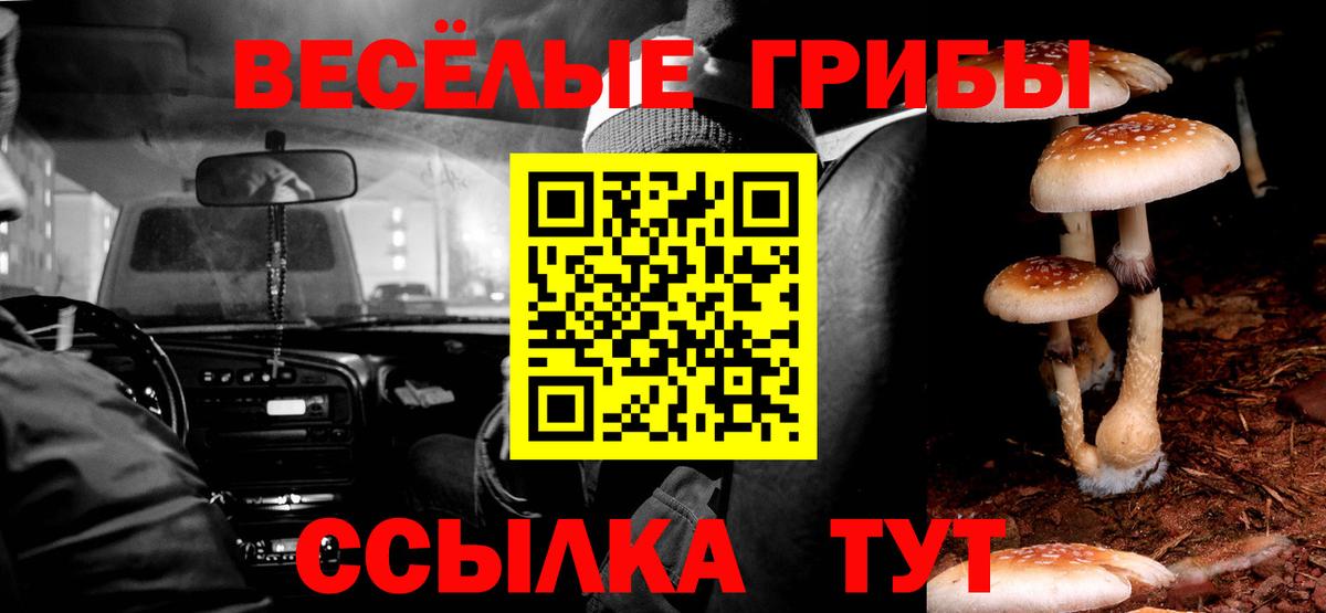 Псилоцибиновые грибы GOLDEN TEACHER Шарыпово