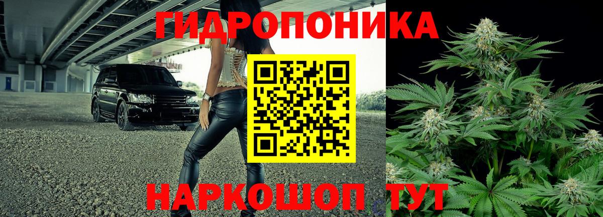 Марихуана Bruce Banner Шарыпово